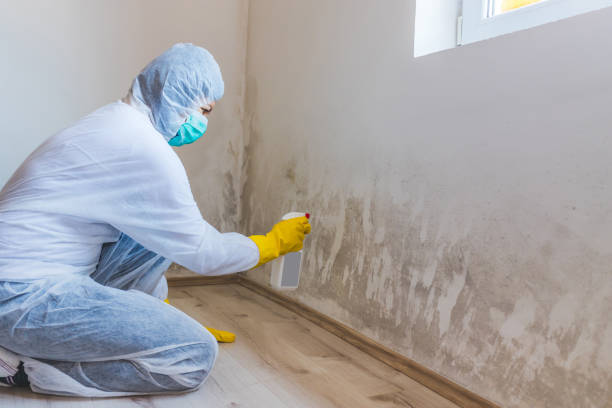Mold Remediation specialist working in Northbrook