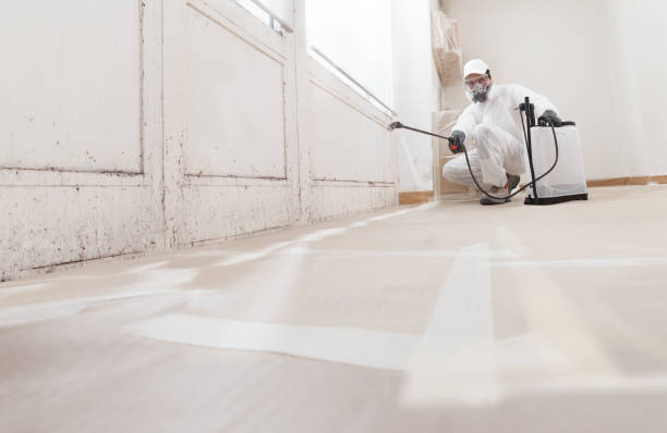 Black mold remediation team in Northbrook